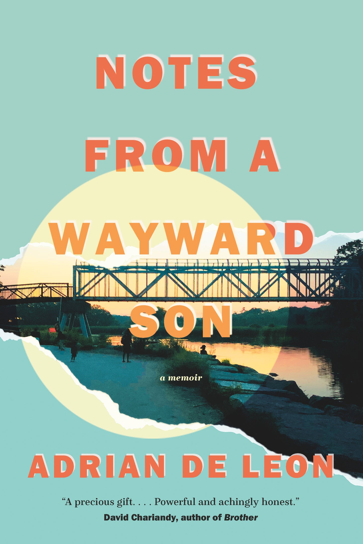 Notes from a Wayward Son