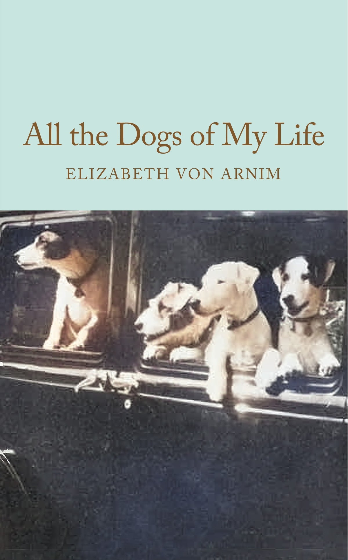 All the Dogs of My Life