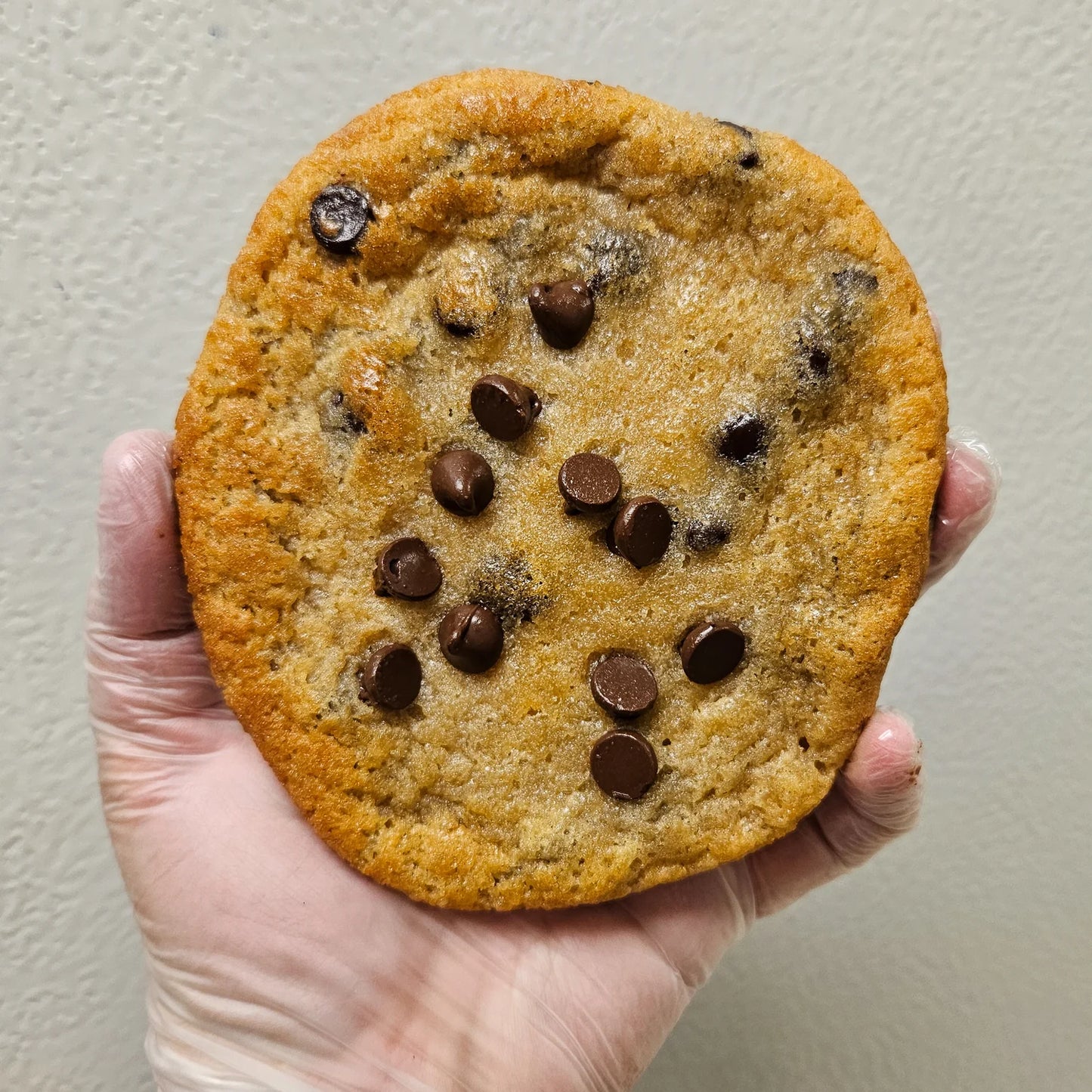 Large Cookie